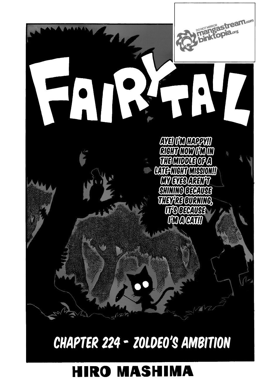 Fairy Tail Chapter 224 1